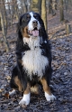 Anton_DSC2187 Kopie.jpg   26.04